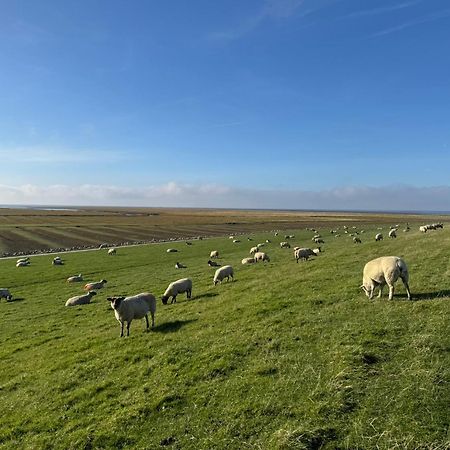 Nordseetraum - Ferienhaus Wolke Friedrichskoog Esterno foto